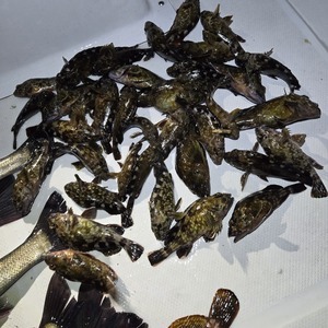 20260412_014803_コピー