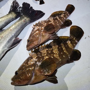 20260412_014748_コピー