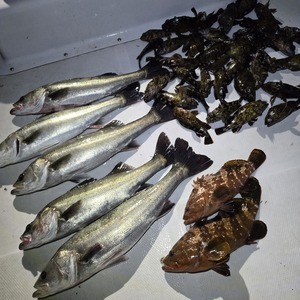 20260412_014728_コピー