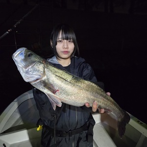 20260412_014208_コピー