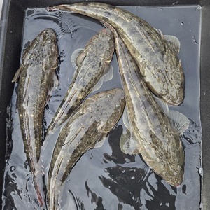 20260412_161646_コピー