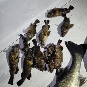 20260413_213217_コピー