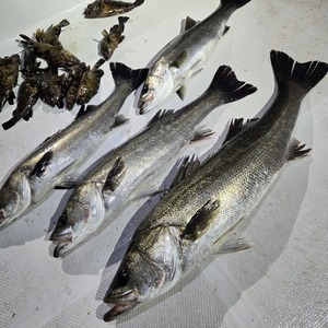 20260413_213211_コピー