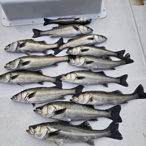 20260414_173647_コピー