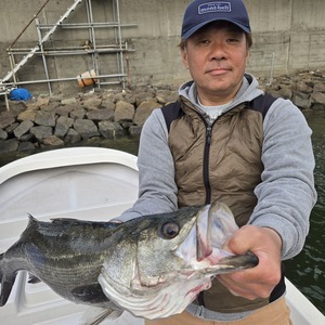 20260414_173203_コピー