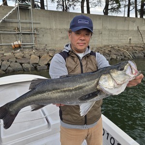 20260414_173129_コピー