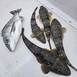 20260415_145220_コピー