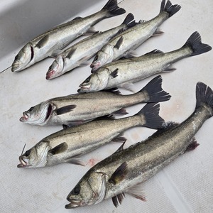 20260417_160741_コピー