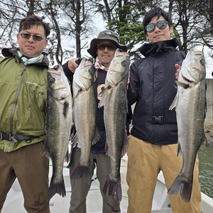 20260417_160604_コピー