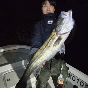 20260418_004501_コピー