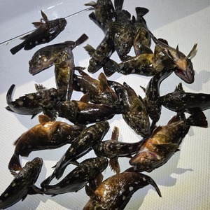 20260418_203525_コピー