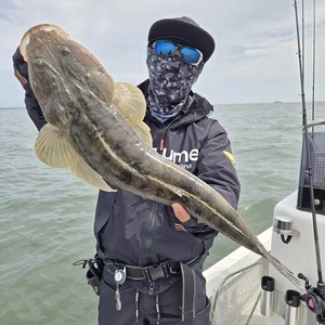 20260419_135526_コピー