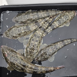 20260419_154334_コピー