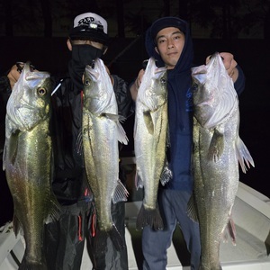 20260419_221254_コピー