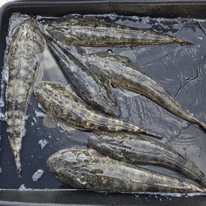 20260425_165210_コピー