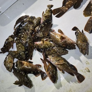 20260425_235741_コピー