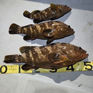 20260425_235522_コピー