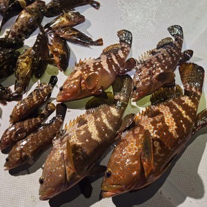 20260714_014714_コピー
