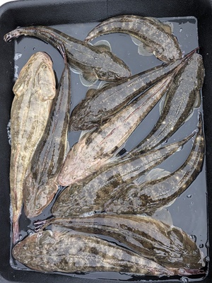 PXL_20260920_083355970_コピー