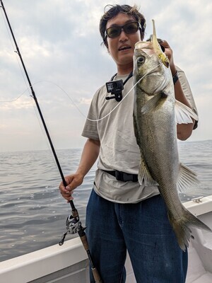 PXL_20261020_052449064~2_コピー